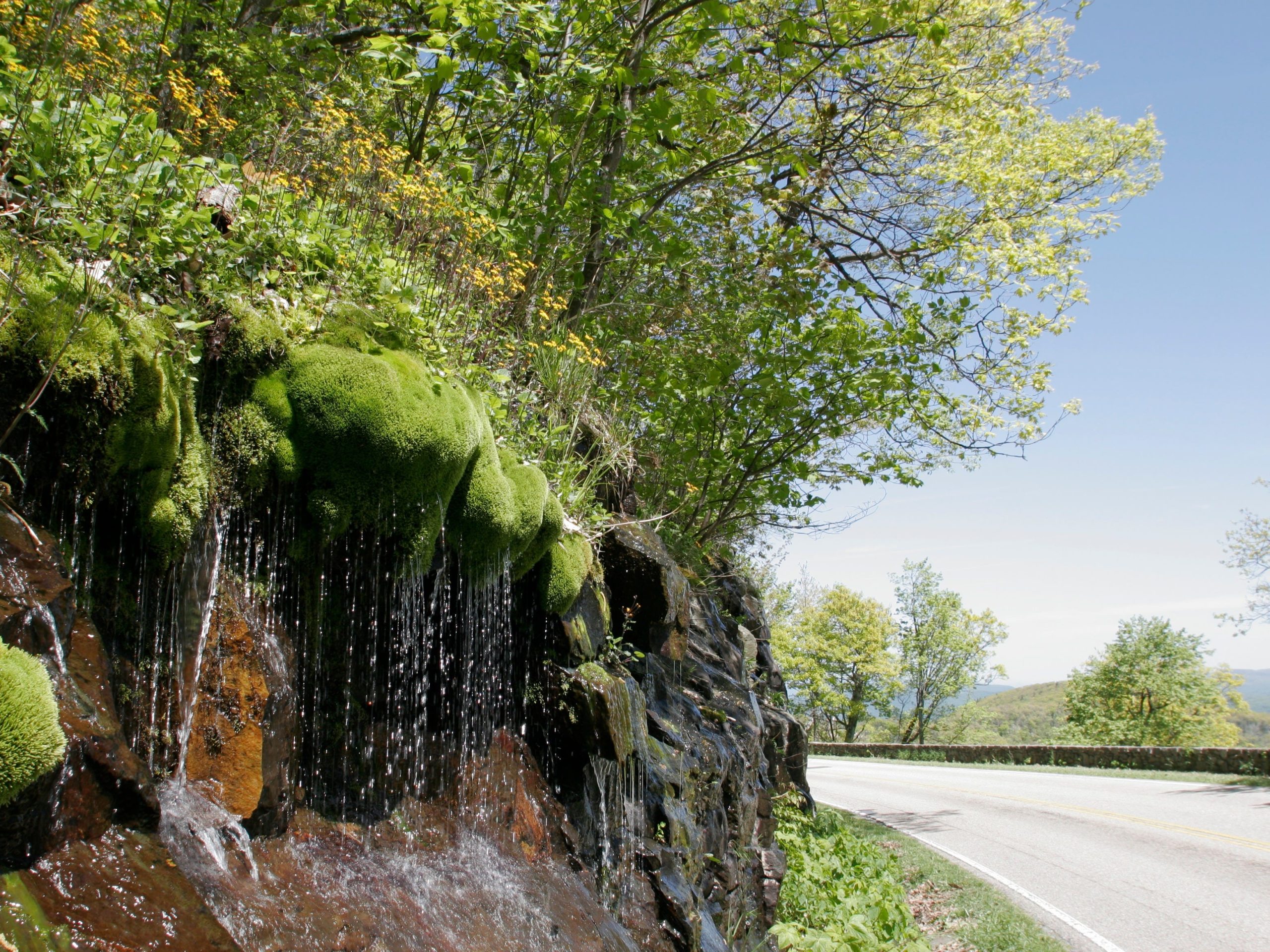 10 of the most beautiful scenic drives through national parks
